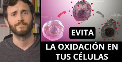 Descubre los efectos secundarios de Arkovital Pura Energia 9 Descubre los efectos secundarios de Arkovital Pura Energia