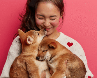 Servicios veterinarios: La Mejor Guía para el bienestar de Tu Mascota
