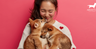 Servicios veterinarios: La Mejor Guía para el bienestar de Tu Mascota 7 Servicios veterinarios: La Mejor Guía para el bienestar de Tu Mascota
