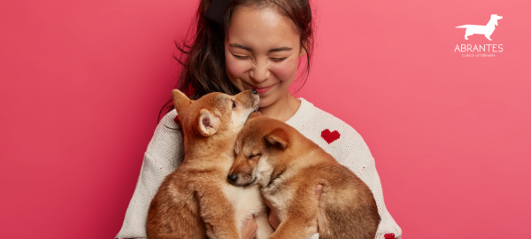 Servicios veterinarios: La Mejor Guía para el bienestar de Tu Mascota 1 Servicios veterinarios: La Mejor Guía para el bienestar de Tu Mascota