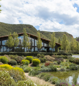 Grupo Mónico y su Legado: Innovación en Eventos y Hospitalidad