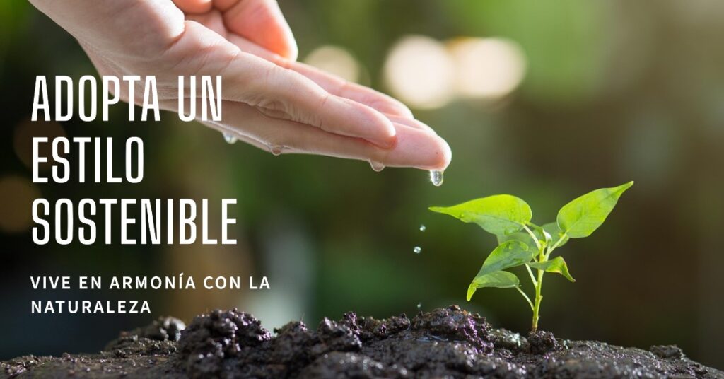Cómo adoptar un estilo de vida sostenible en tu día a día en el Living green