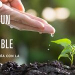 Cómo adoptar un estilo de vida sostenible en tu día a día en el Living green