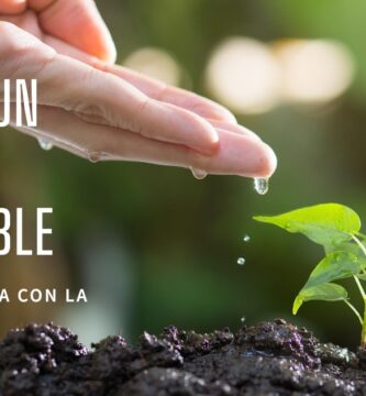 Cómo adoptar un estilo de vida sostenible en tu día a día en el Living green