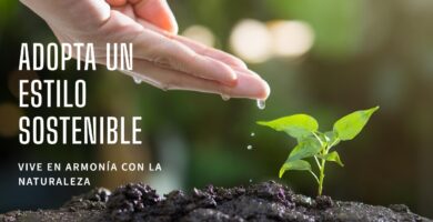 Cómo adoptar un estilo de vida sostenible en tu día a día en el Living green 5 Cómo adoptar un estilo de vida sostenible en tu día a día en el Living green