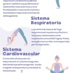 Tapetes de yoga: beneficios para salud y bienestar