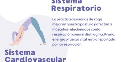 Tapetes de yoga: beneficios para salud y bienestar
