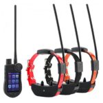 Collares gps para perros de caza: consejos útiles para largas expediciones