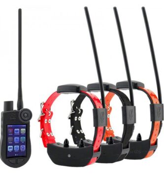 Collares gps para perros de caza: consejos útiles para largas expediciones 1 Collares gps para perros de caza: consejos útiles para largas expediciones